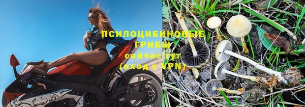 кокаин премиум Осинники